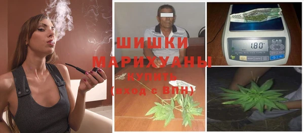 PSILOCYBIN Абаза