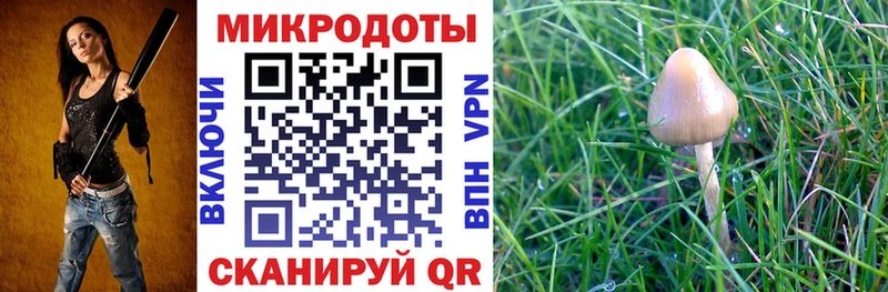 Псилоцибиновые грибы Psilocybe  Емва 